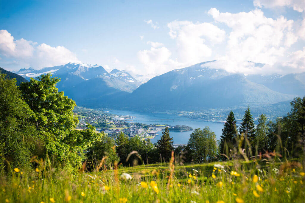 Norwegische Landschaft mit Blumenwiese, Bergen und einem Fjord. Hier werden Stressless Sessel produziert
